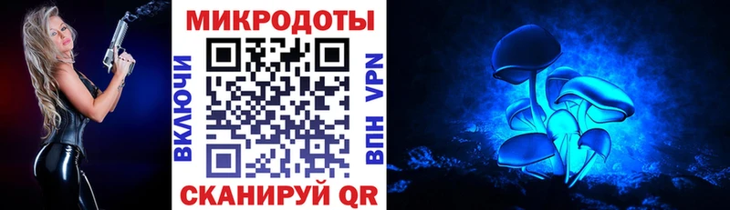 Галлюциногенные грибы Cubensis  продажа наркотиков  Карабаново 